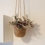 Sunny Balcony 브라티슬라바